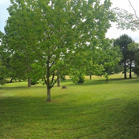 Une Pause Nature Chez Marion Et Cedric Montignac-Toupinerie エクステリア 写真