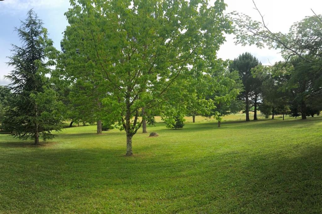 Une Pause Nature Chez Marion Et Cedric Montignac-Toupinerie エクステリア 写真